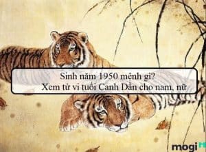 Sinh Năm 1950 Tuổi Gì? Luận Giải Tử Vi Của Canh Dần 1950