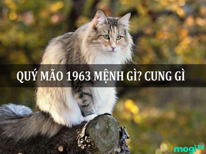 1963 cung gì