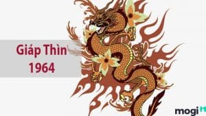 1964 Mệnh Gì? Tử Vi Cuộc Đời Người Sinh Năm Giáp Thìn 1964