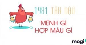 1981 hợp hướng nào