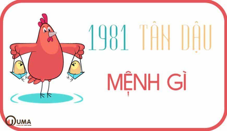 Sinh năm 1981 thuộc mệnh gì?