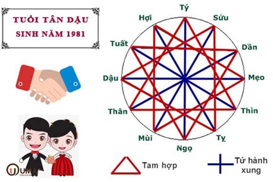 Tuổi Tân Dậu 1981 hợp với người tuổi nào khi làm ăn, cưới hỏi ?