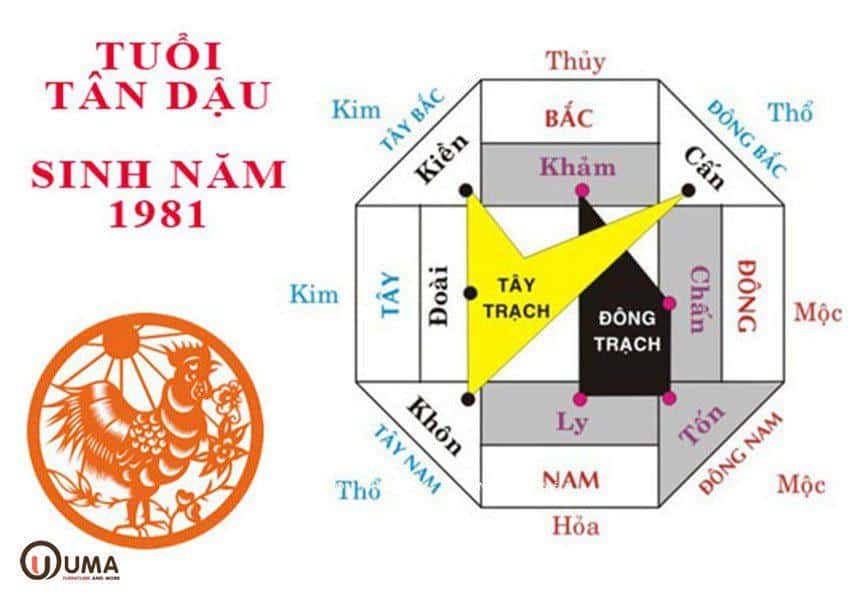 Tuổi Tân Dậu 1981 hợp hướng gì?