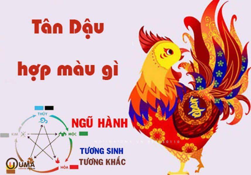 Tuổi Tân Dậu năm 1981 hợp màu gì ?