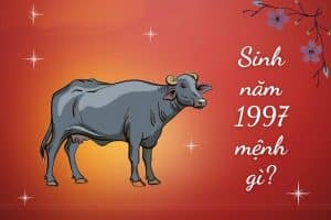 Sinh năm 1997 bao nhiêu tuổi ? 1997 tuổi con gì ? 1997 hợp tuổi