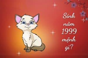 Sinh 1999 mệnh gì? hợp màu gì? tử vi tính cách [A-Z] - Kinh nghiệm