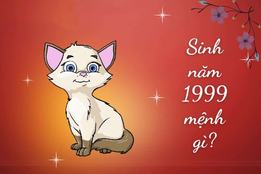 Người sinh 1999 mệnh gì