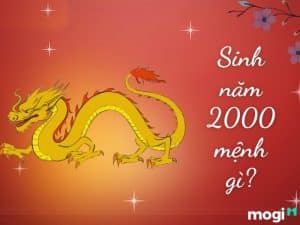 2000 mệnh gì? Tuổi Canh Thìn hợp với tuổi nào, màu nào? - Mogi.vn