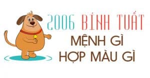 Sinh năm 2006 mệnh gì? Tuổi Bính Tuất hợp màu gì, kỵ màu gì?