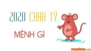 Canh Tý 2020 Mệnh Gì? Tất Tần Tật Tử Vi Của Em Bé ... - Muaban.net