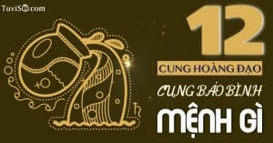 Cung Bảo Bình mệnh gì? Đầu nguồn của dòng sông thông thái bậc