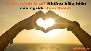 Chân Thành Là Gì? 11 Biểu Hiện Của Người Sống Chân Thành