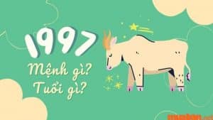 Đinh Sửu 1997 Mệnh Gì, Hợp Màu Gì Và Tuổi Nào Hợp?