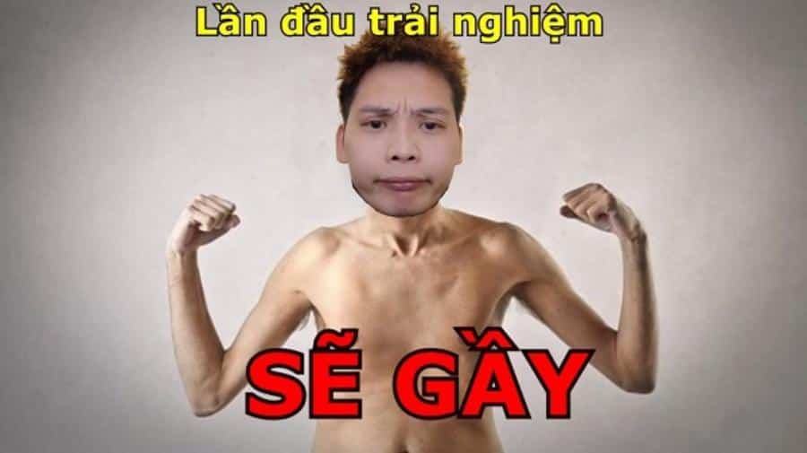 se gay la gi 6