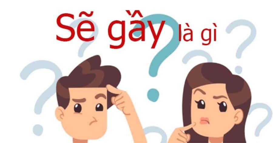 se gay la gi