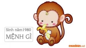 Tuổi Canh Thân Sinh Năm 1980 Mệnh Gì, Hợp Và Kỵ Màu Gì?