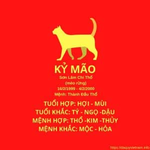 Sinh năm 1999 năm nay bao nhiêu tuổi? Mệnh gì? Hợp tuổi nào?