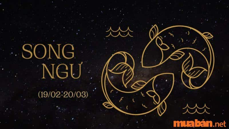 Song Ngư hợp với cung nào nhất