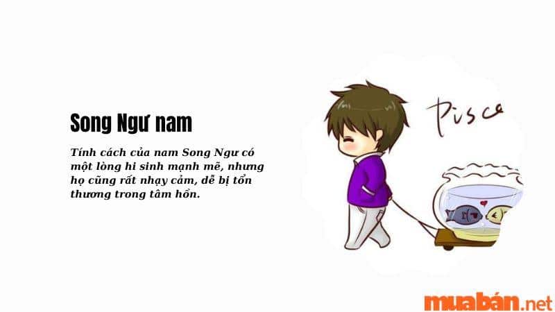 Song Ngư nam