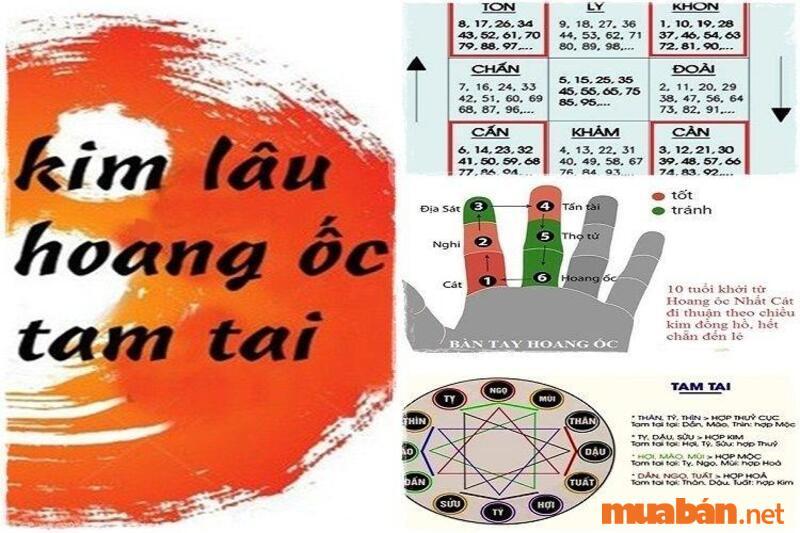 Tử vi tuổi Quý Hợi 1983 nam mạng năm 2023 phạm Hạn Hoang Ốc