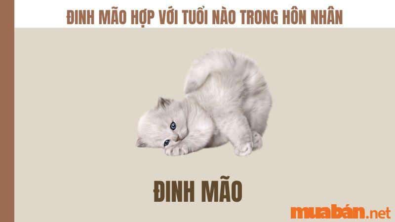 Đinh Mão hợp tuổi nào trong hôn nhân