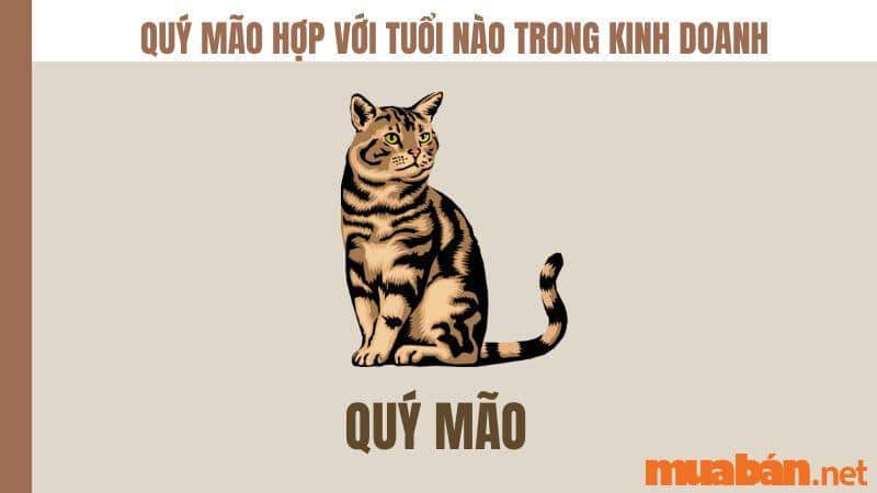 Quý Mão hợp tuổi nào trong kinh doanh