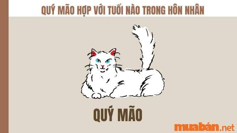 Quý Mão hợp tuổi nào trong hôn nhân