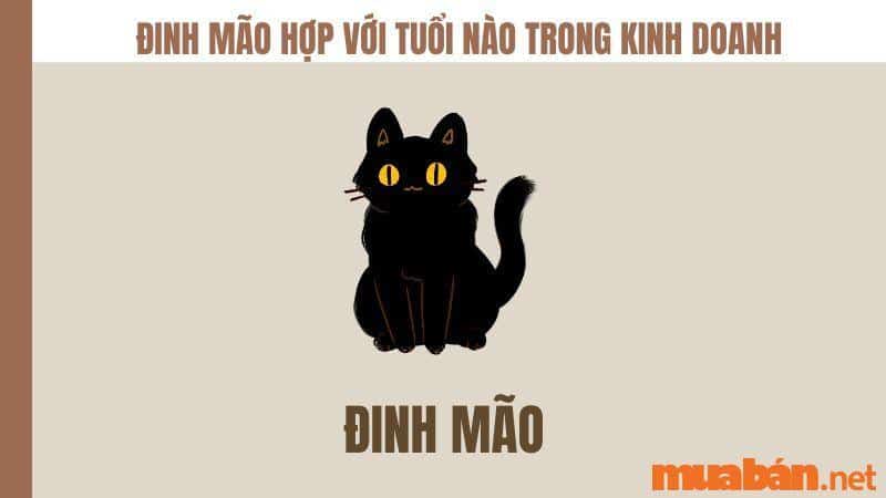 Đinh Mão hợp tuổi nào trong kinh doanh