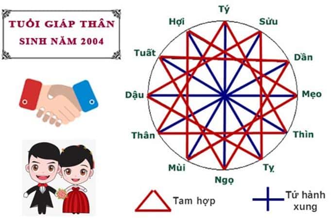 Sinh năm 2004 hợp với tuổi nào