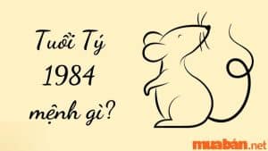 1984 Mệnh Gì? Tất Cả Những điều Cần Biết Về Tuổi Giáp Tý