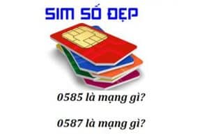 Khám phá 0585 là mạng gì, 0587 là mạng gì và ý nghĩa đặc biệt của