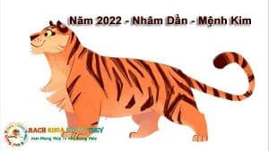 Sinh năm 2022 con giáp nào là năm con gì, mệnh gì, con giáp nào