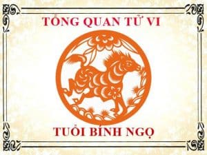 57 tuổi Là tuổi con gì? Tử vi - Vận mệnh - Tài lộc tuổi 57 ... - VTKONG