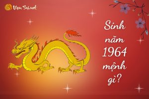 Sinh Năm 1964 Mệnh Gì? Tuổi Giáp Thìn Hợp Tuổi Nào, Màu Gì?