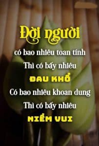 Top 100 hình ảnh triết lý cuộc sống có ý nghĩa - KhoaLichSu.Edu.Vn