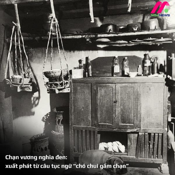 Chạn vương nghĩa đen