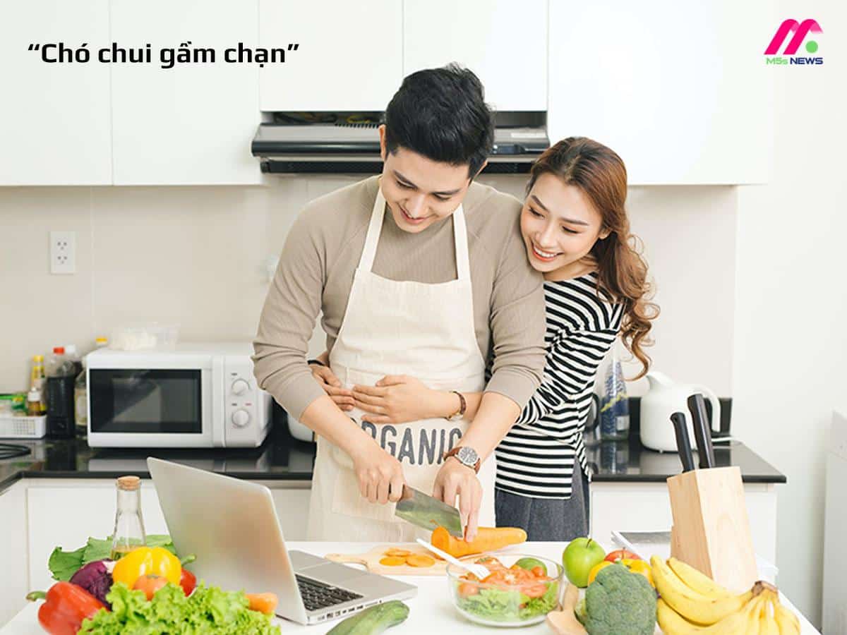 Tục ngữ chó chui gầm chạn