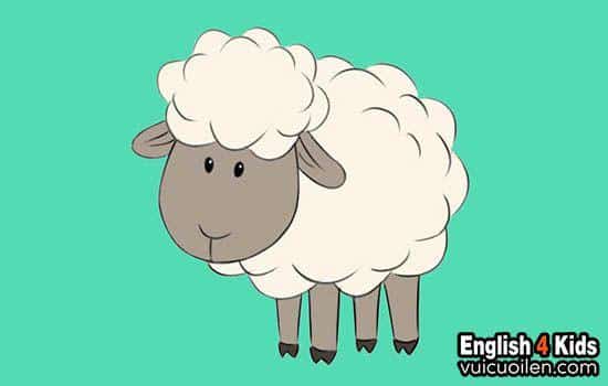 Con cừu tiếng anh là gì