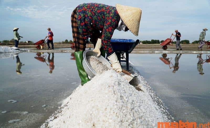 Diêm nghiệp là gì