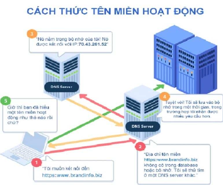 hoat-dong-cua-domain