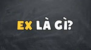 Ex nghĩa là gì? Ex là viết tắt của từ gì trong tiếng Anh? - META.vn