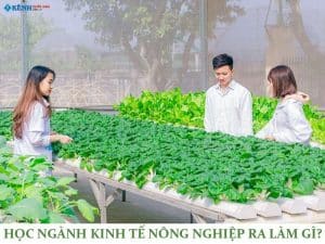 Học ngành Kinh tế nông nghiệp ra làm gì?