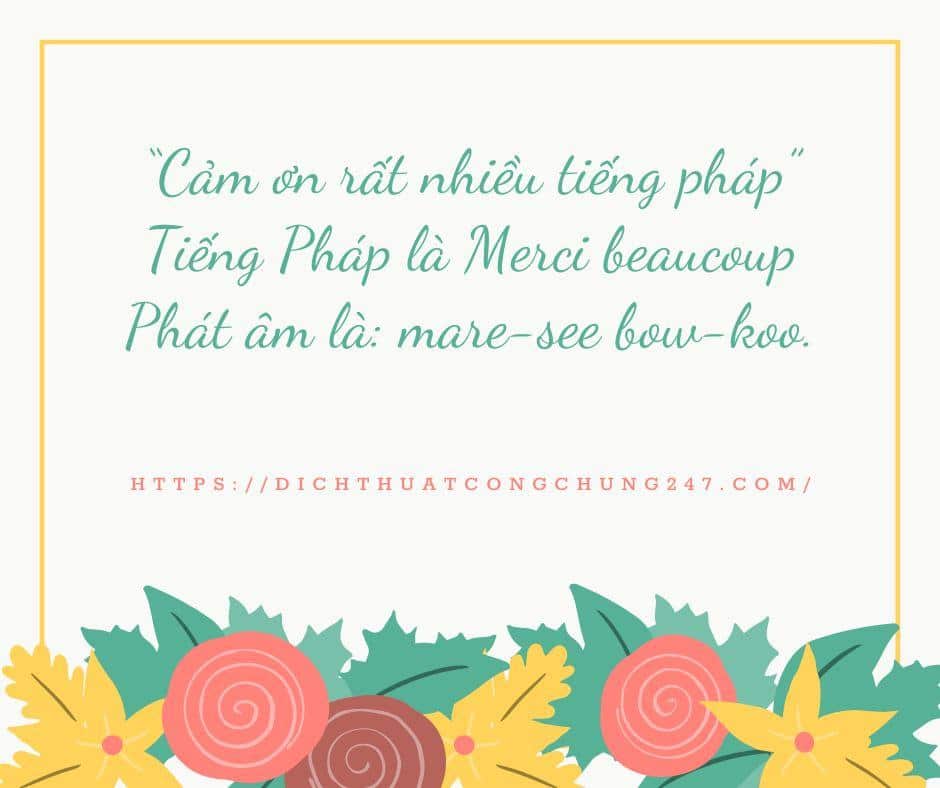 Cấu trúc câu đầy đủ của các cách nói cảm ơn bằng tiếng pháp