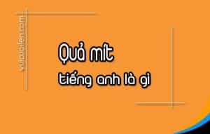 Quả mít tiếng anh là gì và đọc như thế nào cho đúng