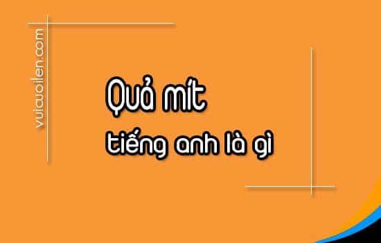 Quả mít tiếng anh là gì