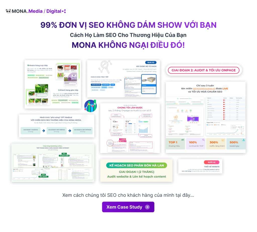 case dự án seo mona