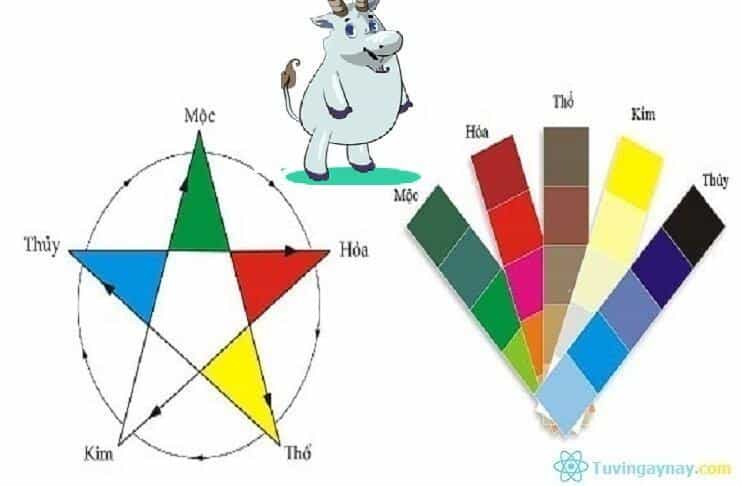 Tuoi Ky Mui hop mau gi nam 2022 de gap