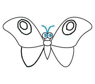 vẽ con bướm 19