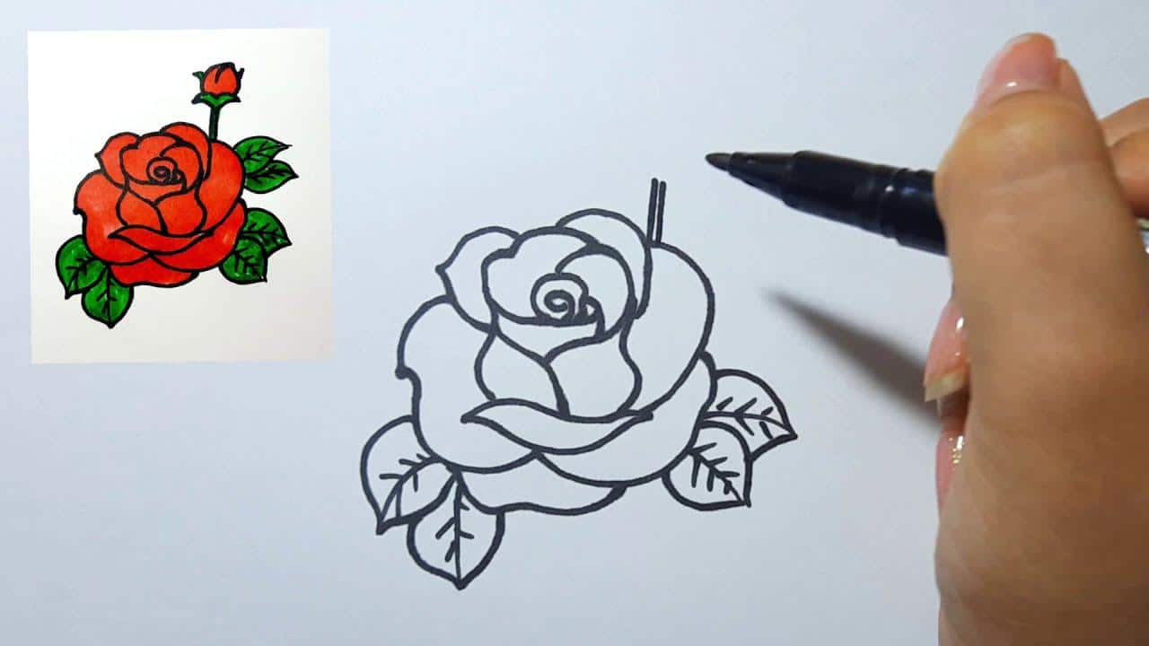 cách vẽ hoa hồng 19