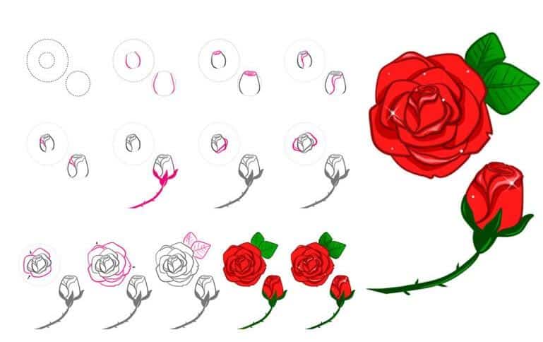 cách vẽ hoa hồng 22